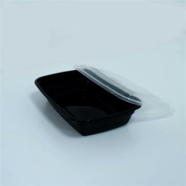 Disposable Lunch Boxes for Adults - Ideal for Work or Travel (3)